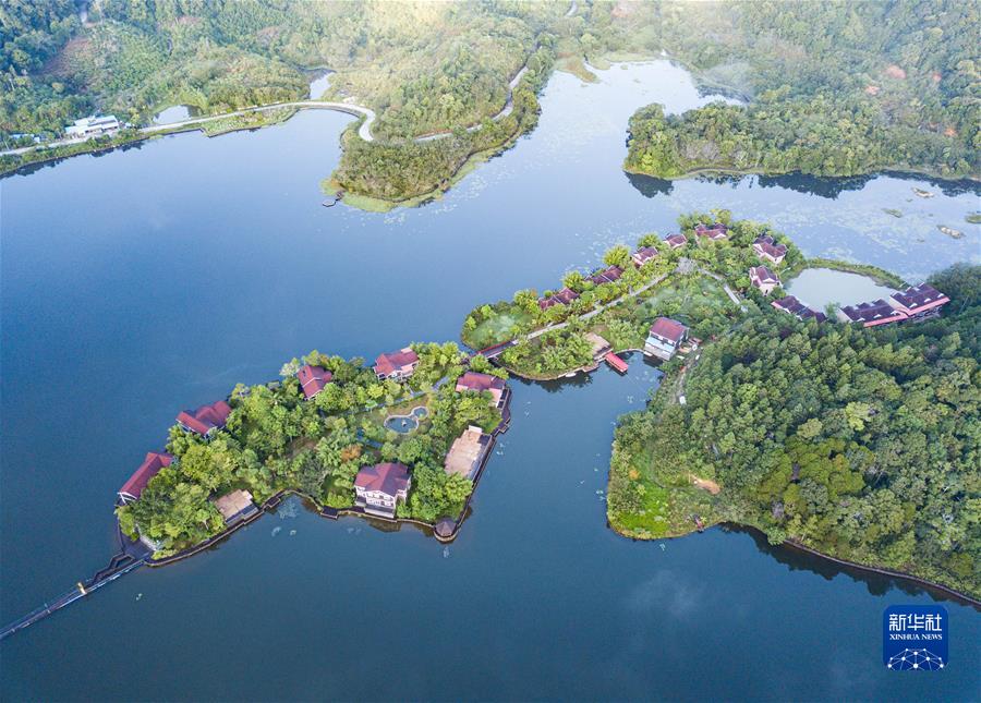 (新华全媒头条·聚焦生物多样性大会·图文互动)(5)携手同行,开启人类高质量发展新征程——习近平主席在《生物多样性公约》第十五次缔约方大会领导人峰会上的主旨讲话解读