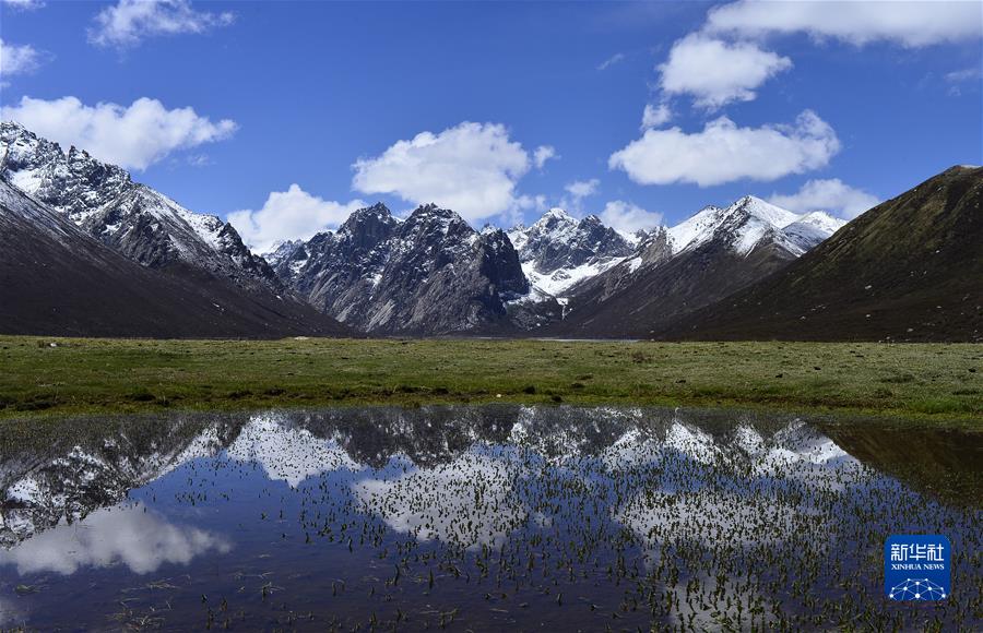 (新华全媒头条·聚焦生物多样性大会·图文互动)(7)携手同行,开启人类高质量发展新征程——习近平主席在《生物多样性公约》第十五次缔约方大会领导人峰会上的主旨讲话解读